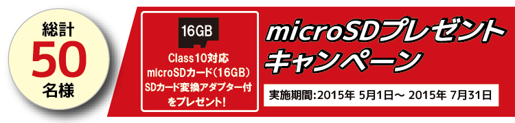 microSDv[gLy[