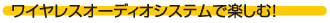 CXI[fBIVXeŊyށI