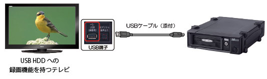 REX-SATA 3シリーズ USB3.0/eSATA リムーバブルケース SA3-DK1-EU3X[RATOC]