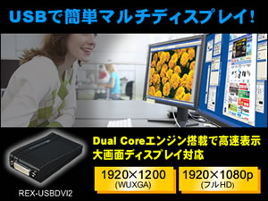 REX-USBDVI2トップ