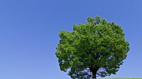 Windows 10サポート終了に伴う指紋認証の一部製品サポート終了についてのアイキャッチ画像